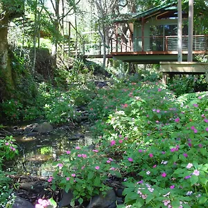 Resort Treetops, Montville